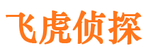 细河侦探公司